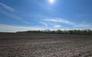 Teren Vadu Anei langa padure 1300 mp - Poză 6