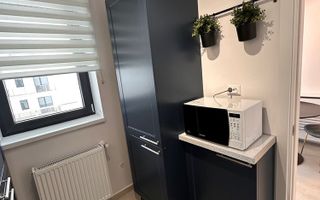 HILS BRAUNER | Proprietar | GARSONIERA premium - Poză 5