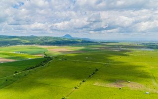 Teren de investiție în zona Tohanul Nou - Bran  5.800 mp - Poză 3