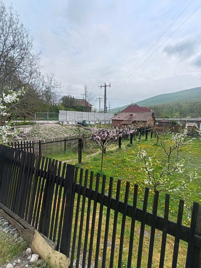 Casa cu 3 camere, 150 mpu, mobilata, utilata, garaj, curte, Ampoita - Poză 20