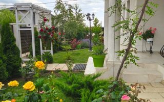 Casă de vânzare cu particularități deosebite, în zona Miroslava - Poză 4