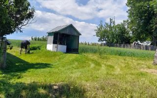 Teren constructie casa - Poză 1