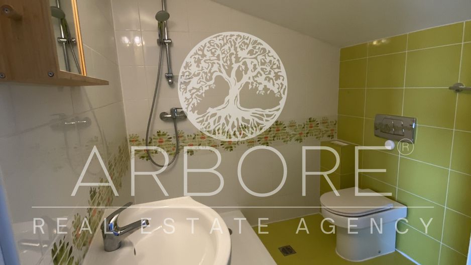 Vila elegantă 8 camere de închiriat, Sector 1, 700 mp teren - Poză 31