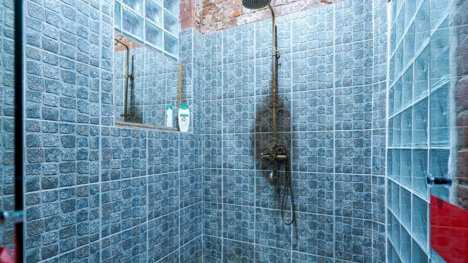 Ag BRASADAS vinde villa cu 20 camere Pta ROMANA. - Poză 10