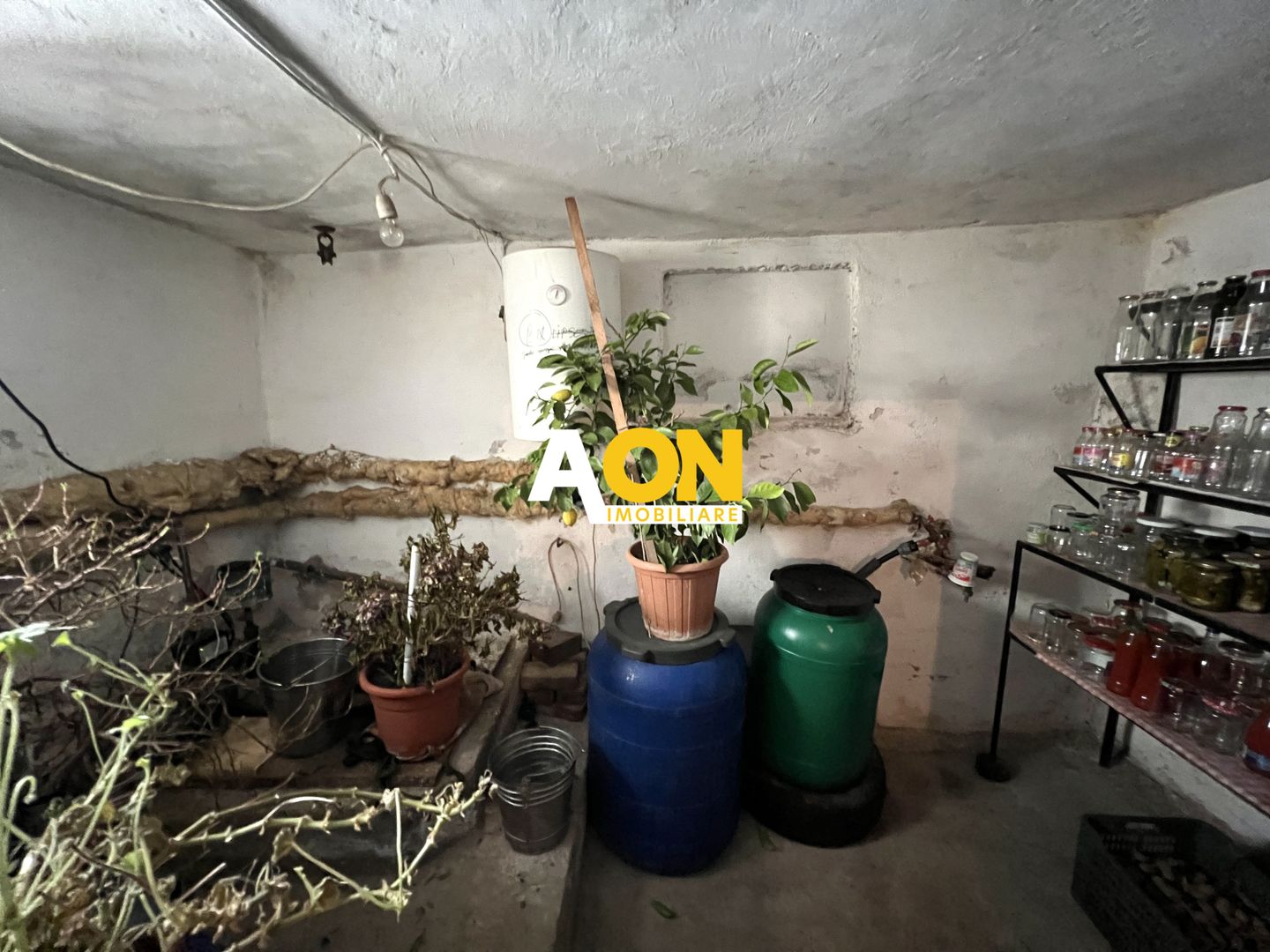 Casa de vanzare pretabila 2 familii, garaj, livada, comuna Pianu - Poză 35