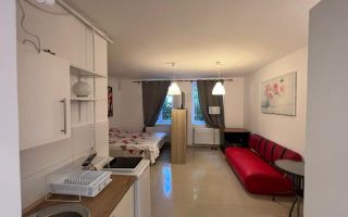 Apartament cu o camera langa Medicina - Poză 9