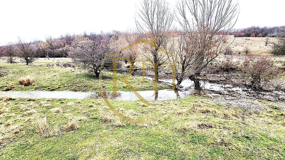 Terenuri extravilane de vânzare – Vizma & Crivobara, comuna Secaș, jud. Timiș - Poză 4