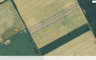 GRADISTEA - Sat Sitaru - Tarla 41, 22.235 mp. teren ideal investitie - Poză 4