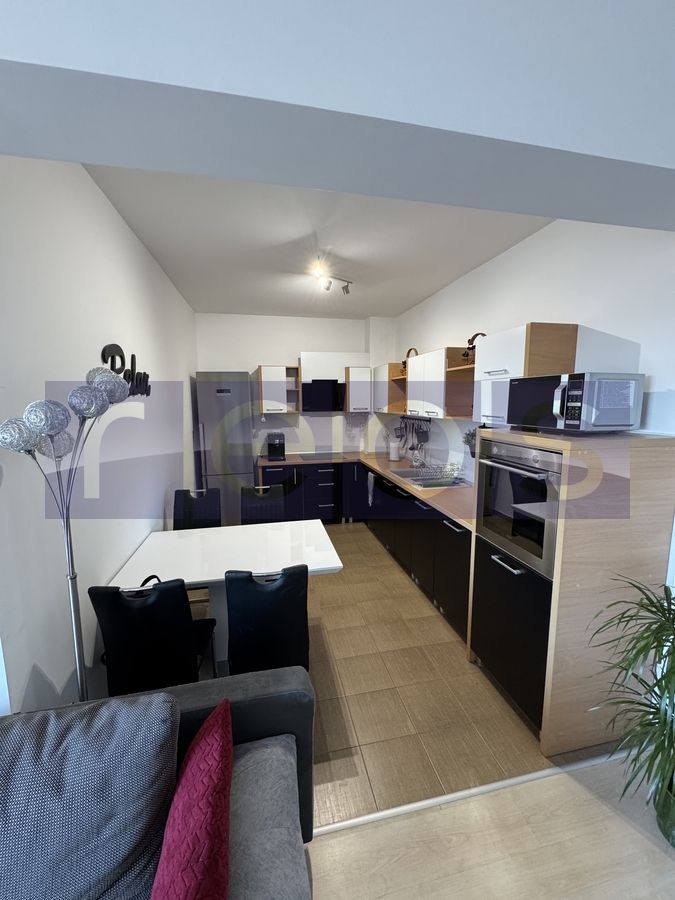 INCHIRIERE APARTAMENT 2 CAMERE DECEBAL - SA ACCEPTA ANIMALE DE COMPANIE - Poză 8