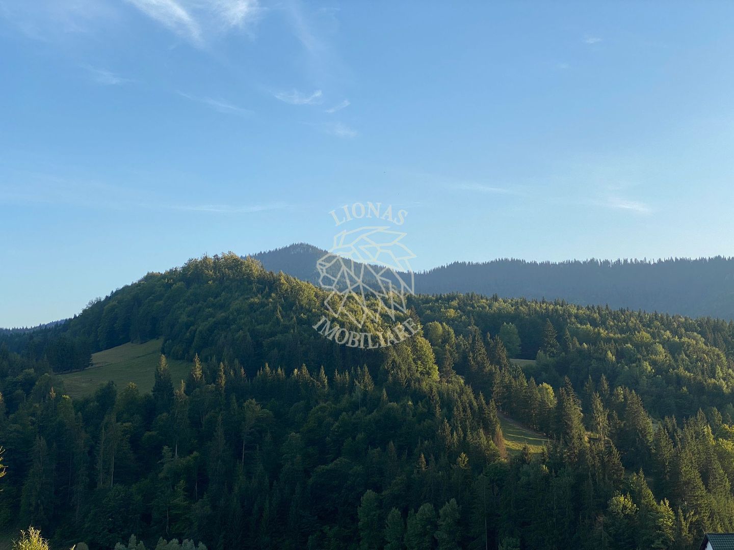 Teren Intravilan 1000mp-panorama-oportunitate investitie-Colibita - Poză 4