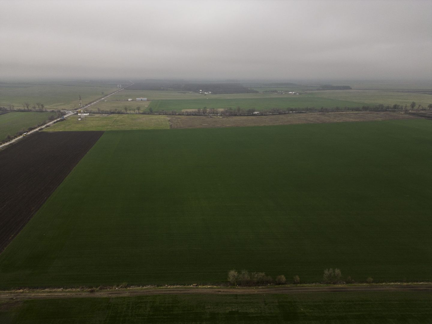 Teren 84000 mp la 20 km de Arad, la DN79 - Poză 2