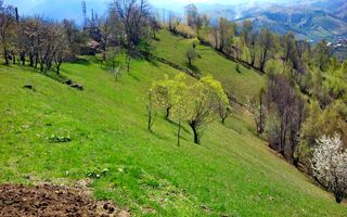 teren intravilan in zona Magura Bran - Poză 6