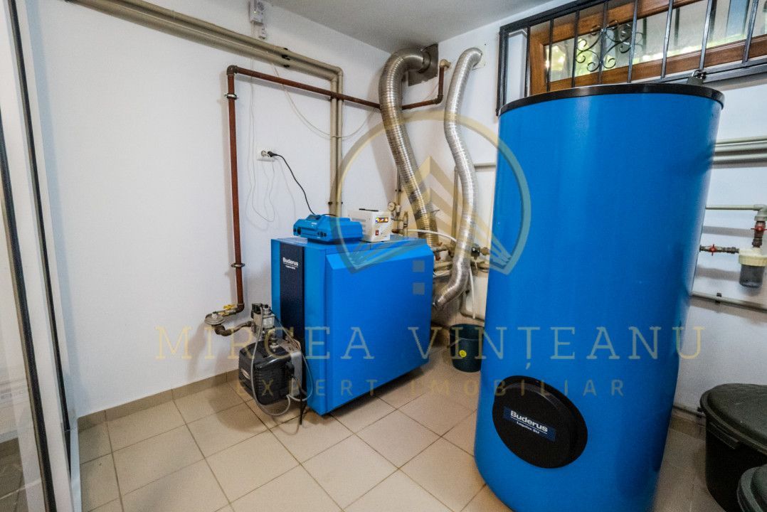 Palazu Mare / Elvila -  Vanzare Vila  D+P+1E cu teren de 996 mp - Poză 56