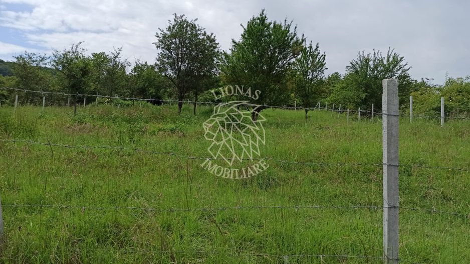 Teren 1000mp+cota drum-ideal cabana/investitie-panorama-Valea Rusului - Poză 2