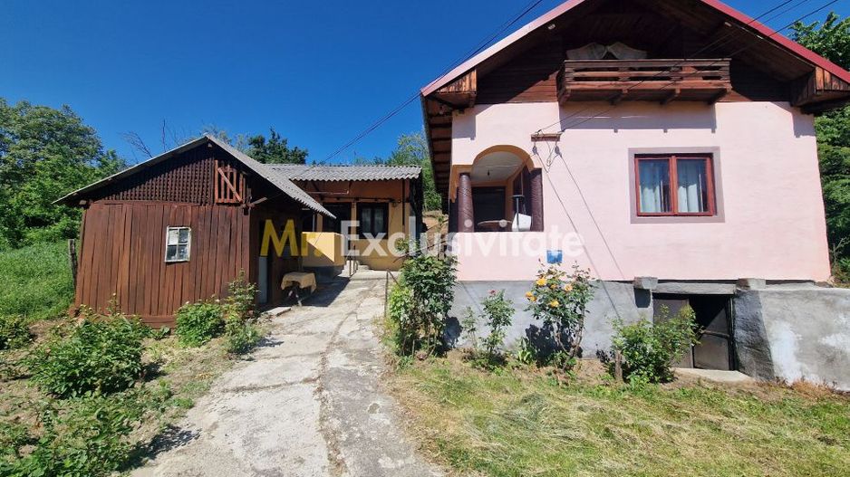 Căsuță autentică românească între două dealuri–colț de liniște  în Botesti, Arge - Poză 2