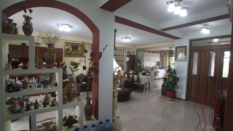 Vila - BEREGSAUL MARE - Poză 1