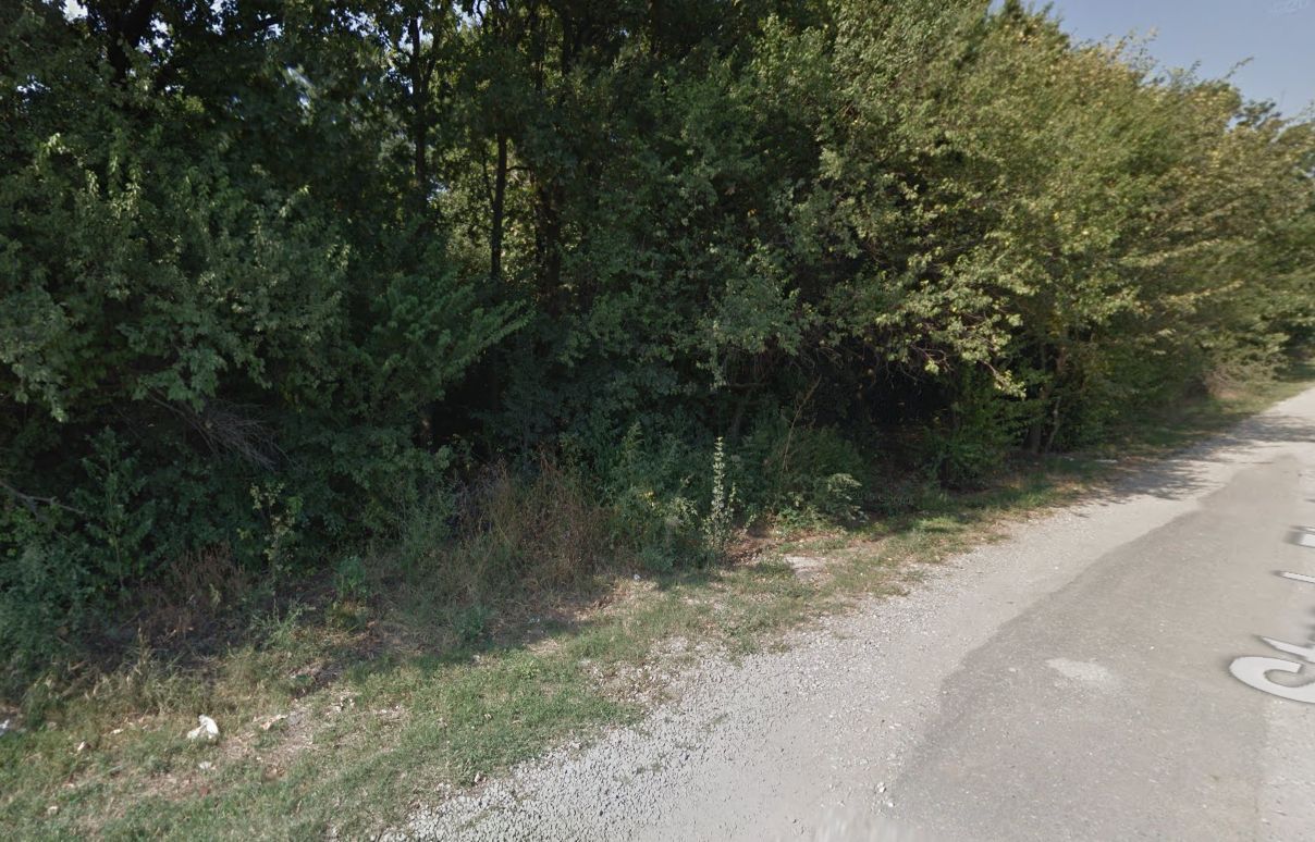 Teren de vânzare la padure Balotesti - Poză 3