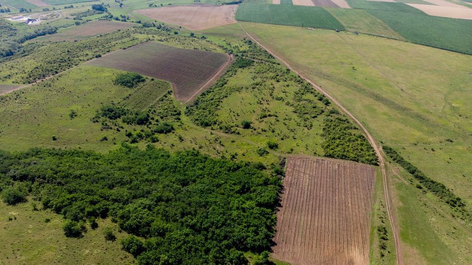 Teren arabil de 147 hectare în Giurgiu - Poză 1