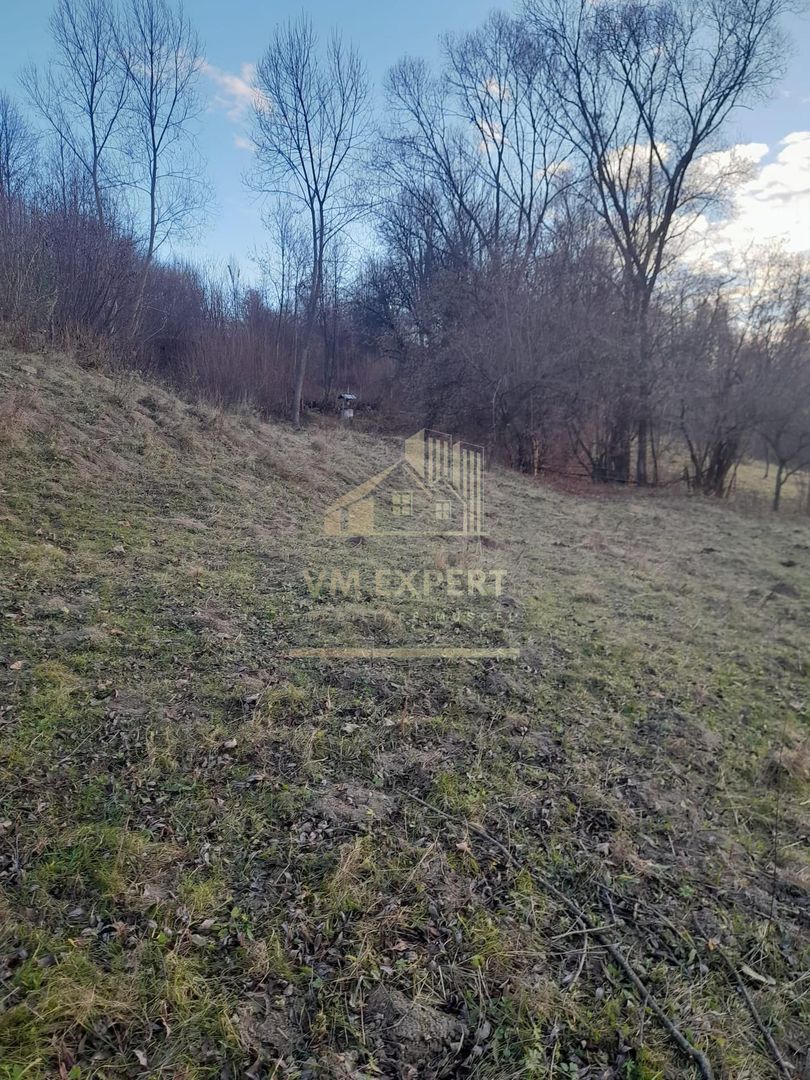 TEREN INTRAVILAN 5461 MP, BUGHEA DE JOS, ARGES - Poză 9