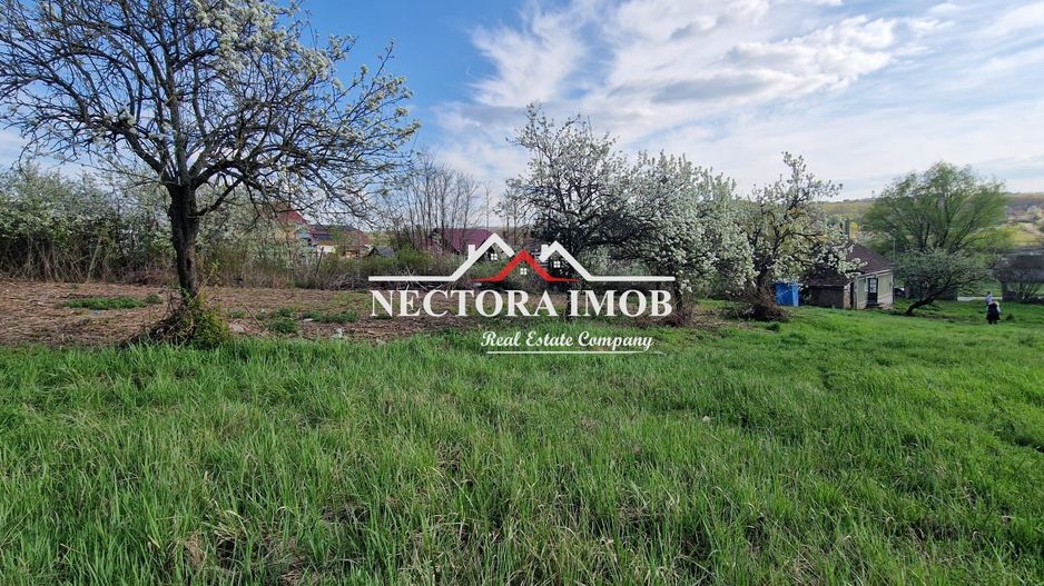 NECTORA IMOB-Casa 70 mp cu teren 951 mp, front 16 mp, Paleu Centru - Poză 1