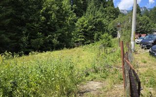 Teren Izvorul Muntelui, Bicaz, la baza traseelor de la Vârful Toaca - Poză 4