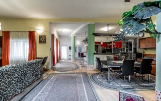 Investiție în Aradul Nou – spațiu comercial,  hala, si un penthouse - Poză 5