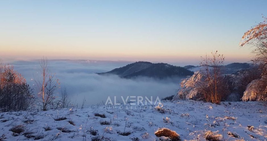 OPORTUNITATE | Teren intravilan | 34.625 mp | Plopi - Valea Ierii - Poză 11