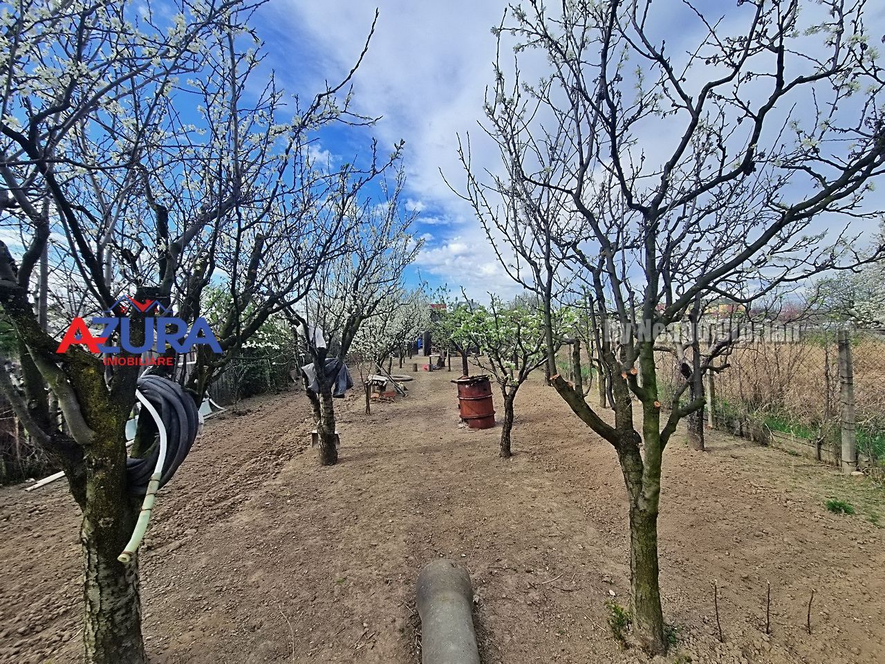 AZURA Imobiliare - Casa Prundu Bananai - Poză 32