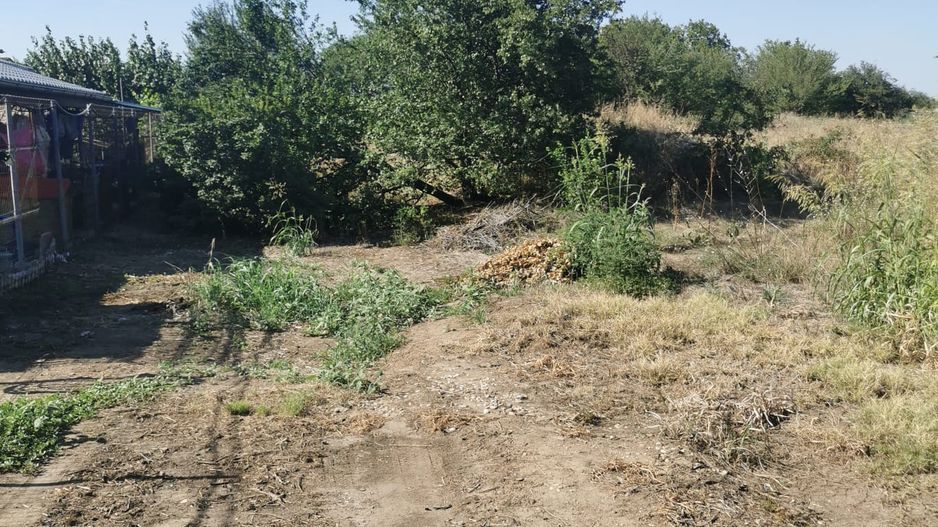 Vand teren cu suprafata de 2815 mp in Bragadiru deschidere 60 ml! - Poză 5