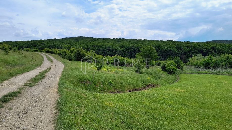 Oportunitate de investiție – 4 parcele în Corunca, 20 €/mp - Poză 2