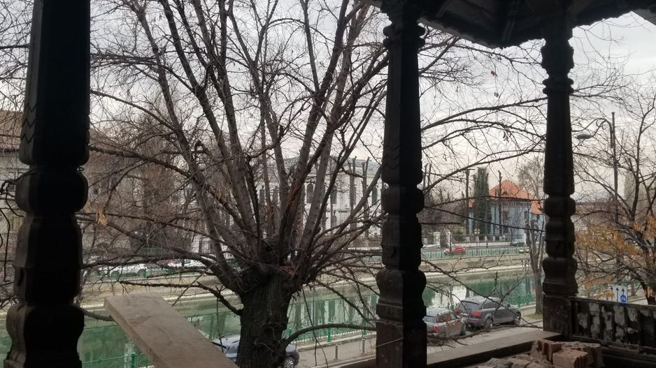 Cotreceni vila istorica 10 camere - Poză 22