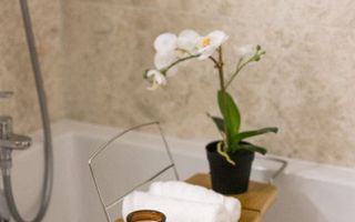 ✨ Apartament 2 camere de vânzare în Copou - Poză 8