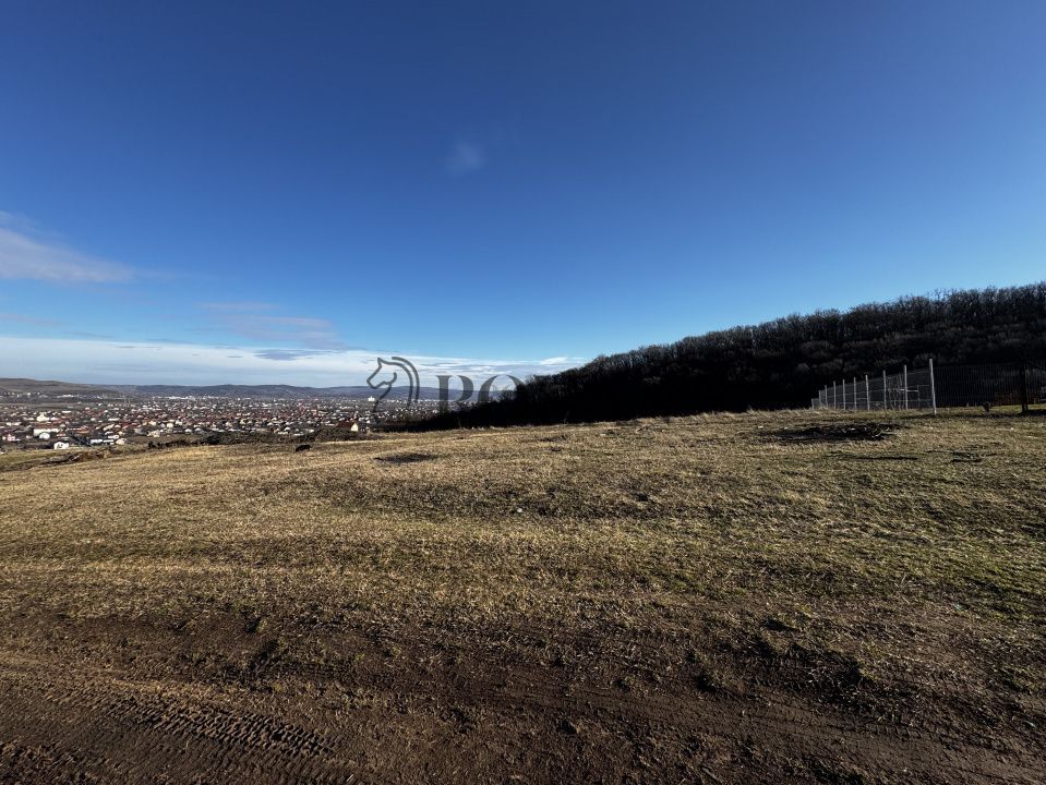 Oportunitate investiție 1153mp Tarnița - Micești - Poză 1