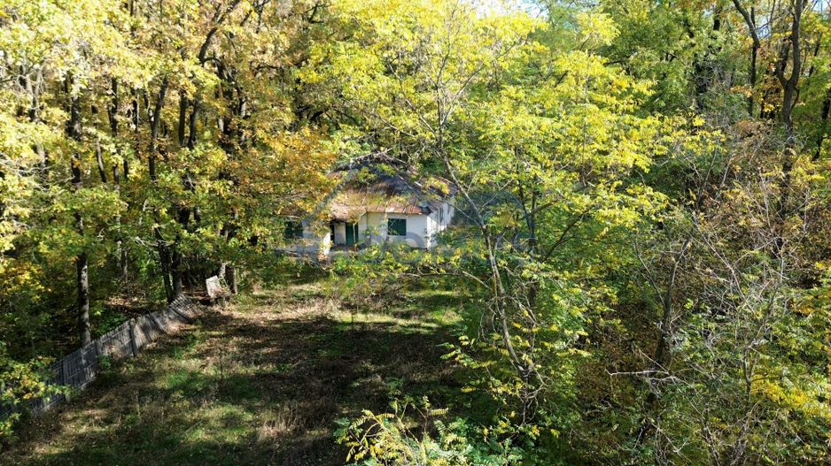 TEREN INTRAVILAN ÎN PĂDURE LA VĂRBILA - PRAHOVA – COMISION 0% - Poză 8