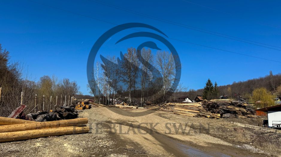 Teren 31.000 MP + Constructie 800 MP de vanzare | Valenii de Munte - Poză 4