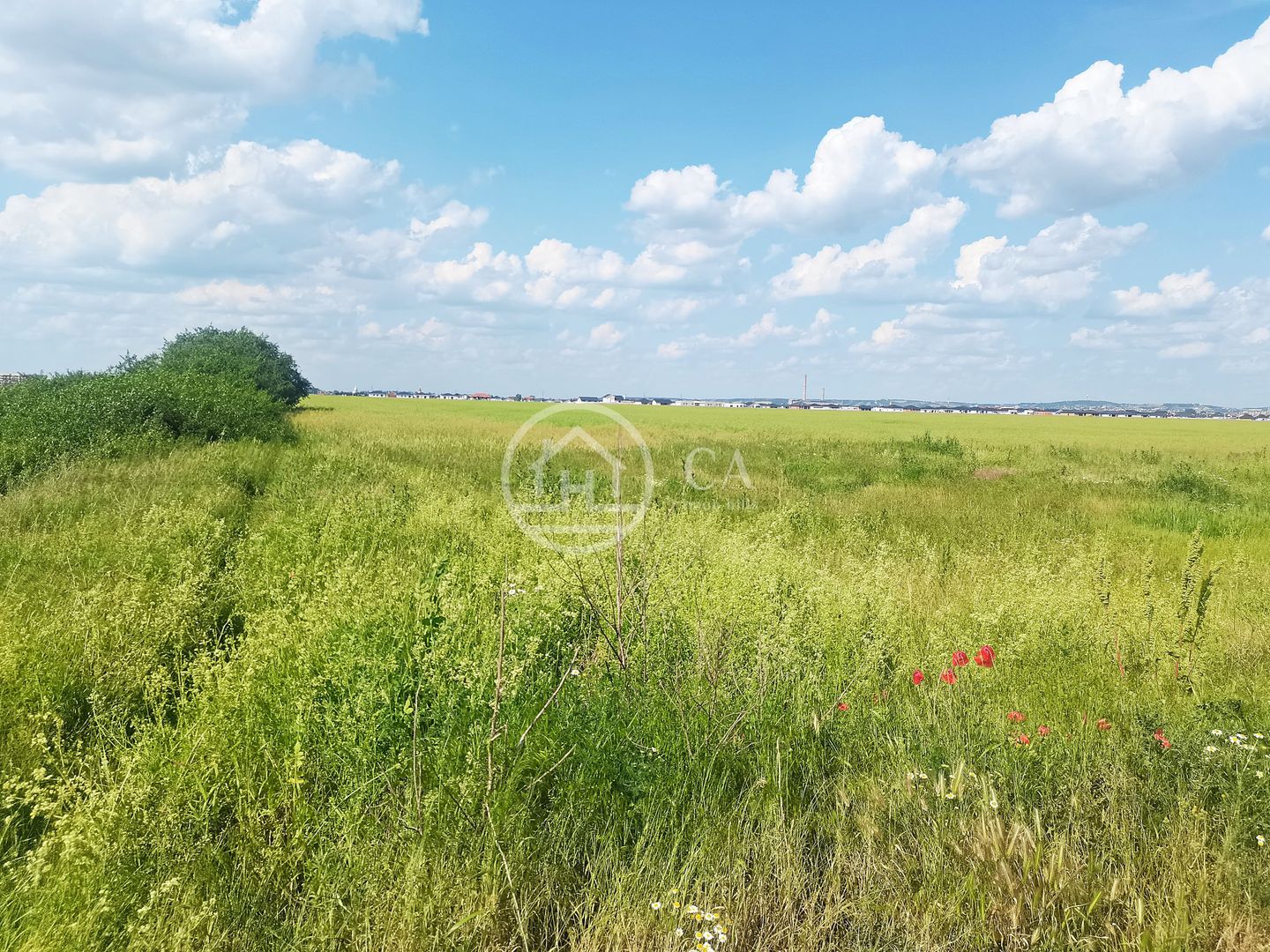 Teren intravilan de vânzare in Santandrei, Bihor - Poză 2
