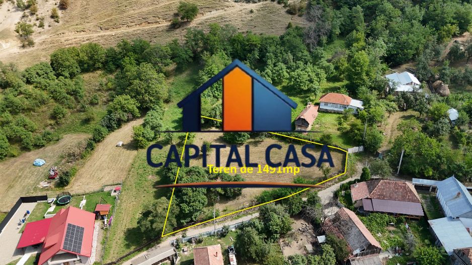 Teren de Vanzare in Plopu - Darmanesti, cu plata in rate - Poză 3