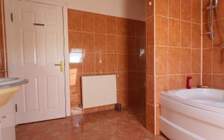 Casa individuala de vanzare, Cetate - Poză 7