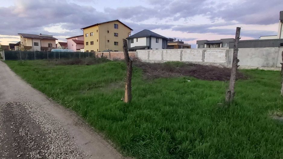Pasaj Domnesti - Tudor Vladimirescu - Poză 3