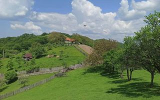 Proprietate cu 60000 mp pamant la pret de apartament - Poză 8