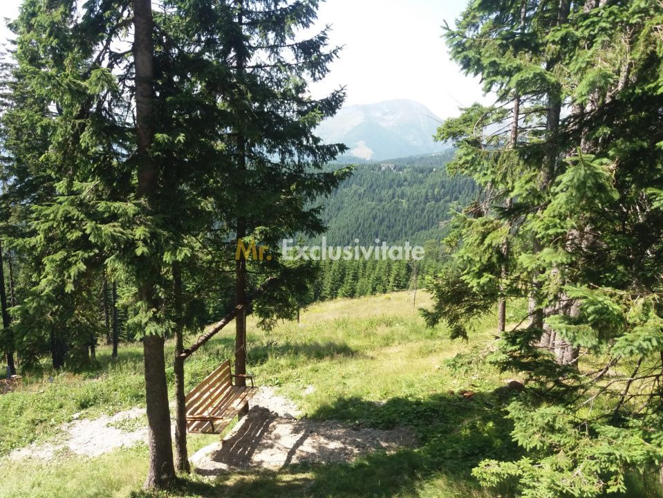 Cabană în Rânca cu 500 mp teren și panoramă impresionantă - Poză 6