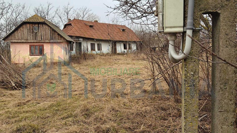 Teren intravilan de vanzare, 3160 mp, strada Garii, sat Hodora, comuna Cotnari - Poză 3
