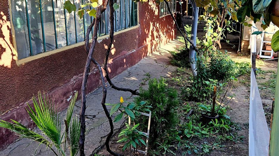 Casa cu teren Bucurestii Noi - Pod Constanta 220mp - Poză 3