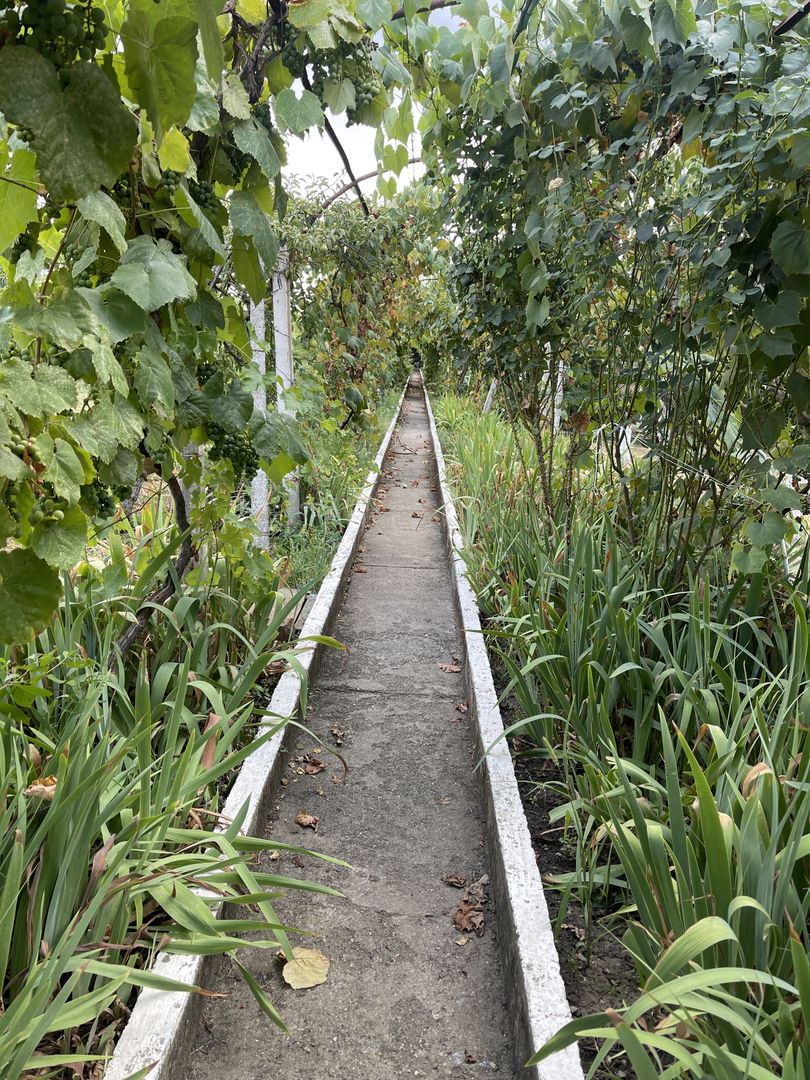 Casa | 9 camere | Garaj | Piscina | Teren 3.000 mp | Comision 0% - Poză 45