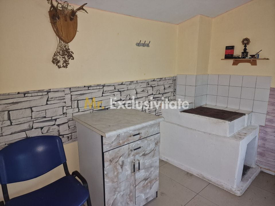 Gospodarie autentic romaneasca-Lunca Corbului, Ciesti! - Poză 10