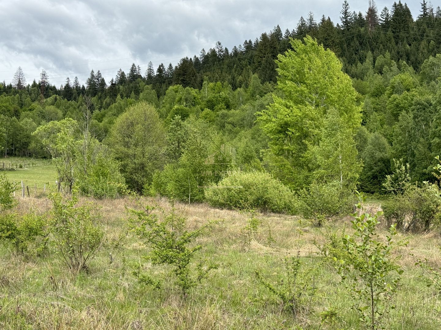 TEREN INTRAVILAN 6680 MP LERESTI ARGES - Poză 6