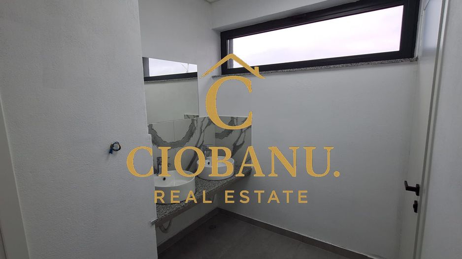 Hale industriale+Cladire de Birouri de inchiriat zona Aeroport - Poză 15