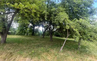 GRADINA BUNICII DE ODINIOARA,DE VANZARE -PAPAUTI,COVASNA. - Poză 12