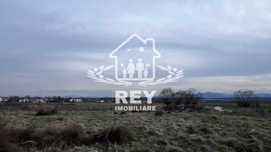 Teren Arabil Turnișor - Spre ferma de pui - Poză 1