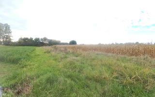 Teren intravilan de 10 arii de vânzare în Cătălina – zonă în plină dezvoltare - Poză 3